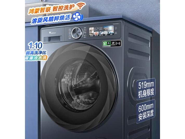 小天鹅 TD100MS09LZ