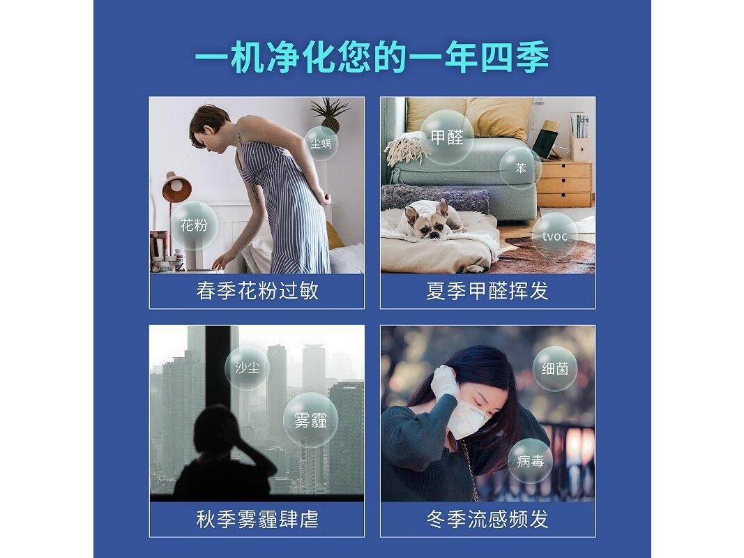 smart air SA600 活性炭滤网（2片装）