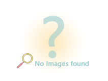 荣事达 R012A0013 双核强暖+语音开关